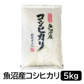 【ふるさと納税】【令和6年産】お米マイスター厳選！魚沼産コシヒカリ5kg | お米 こめ 白米 食品 人気 おすすめ 送料無料
