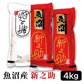 【ふるさと納税】令和7年産】お米マイスター厳選！魚沼産新之助　4kg(2kg×2)　2025年10月中旬頃～発送開始　新潟県　魚沼　魚沼産　新之助　米 | お米 こめ 白米 食品 人気 おすすめ 送料無料