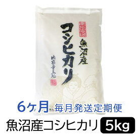 【ふるさと納税】お米マイスター厳選！魚沼産コシヒカリ5kg×6ヶ月毎月発送　定期便 | お米 こめ 白米 食品 人気 おすすめ 送料無料