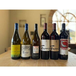 【ふるさと納税】フェルミエワイン6本セット(シャルドネ、ケルナー、ロゼ、メルロー、カベルネ・フラン、ベガ) | ワイン お酒 さけ 人気 おすすめ 送料無料 ギフト