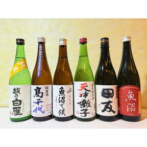 yӂ邳Ɣ[ŁzVW큃|Ă荠Zbg(720ml×6{) |   lC   Mtg