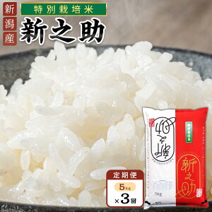 yӂ邳Ɣ[ŁzyցzVViʍ͔|āj5kg×3A͂ |    Hi lC  
