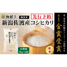 【ふるさと納税】【毎月定期便 6ヵ月】【令和7年産新米】＜無洗米＞金賞受賞　新潟県佐渡産コシヒカリ　5kg全6回 | お米 こめ 白米 食品 人気 おすすめ 送料無料