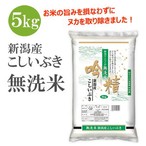 yӂ邳Ɣ[Łz ᐸ VY Ԃ5kg ߘa6NY  |    H  lC 