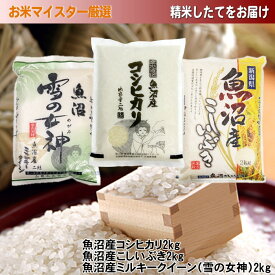 【ふるさと納税】【令和7年産】魚沼産米こだわりの3品種食べ比べセット 6kg(2kg×3)新潟県 新潟 米 魚沼 魚沼産 コシヒカリ こしひかり こしいぶき ミルキークイーン