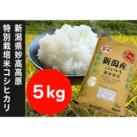 【ふるさと納税】【令和7年度産】新潟県妙高高原減農薬特別栽培米コシヒカリ 5kg