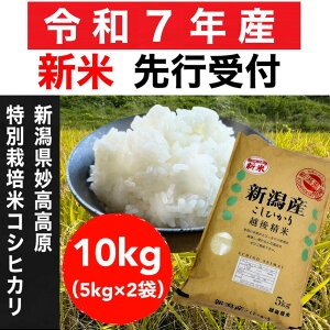 yӂ邳Ɣ[Łzyߘa7NYVāEs\zV_ʍ͔|ăRVqJ 10kgi5kg×2܁jy10{11{\z |    Hi lC  