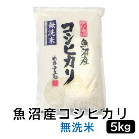 【ふるさと納税】【令和7年産無洗米】お米マイスター厳選！魚沼産コシヒカリ　5kg | お米 こめ 白米 食品 人気 おすすめ 送料無料