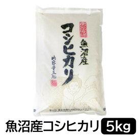 【ふるさと納税】お米マイスター厳選！魚沼産コシヒカリ5kg×隔月6ヶ月　定期便 | お米 こめ 白米 食品 人気 おすすめ 送料無料
