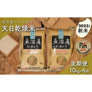 yӂ邳Ɣ[ŁzyVāzyցzߘa7NYu܂ă}CX^[vI@VYRVqJ@10kgi5kg×2j×6 |    Hi lC  