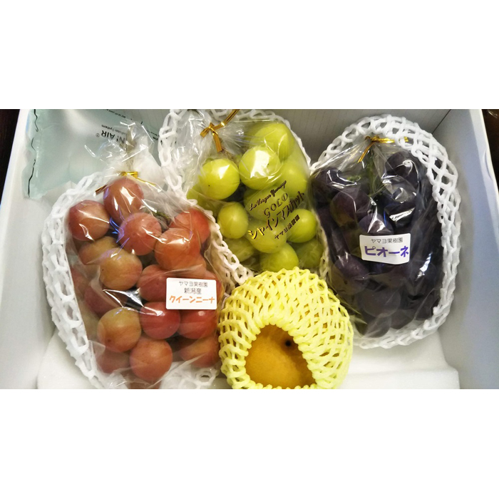 新潟県 ふるさと納税 最も優遇 Le Verger 旬の果物とコシヒカリの詰合せ Yamayo 日本最大のブランド ヤマヨ果樹園