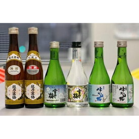 【ふるさと納税】 日本酒　越の三梅飲み比べセット
