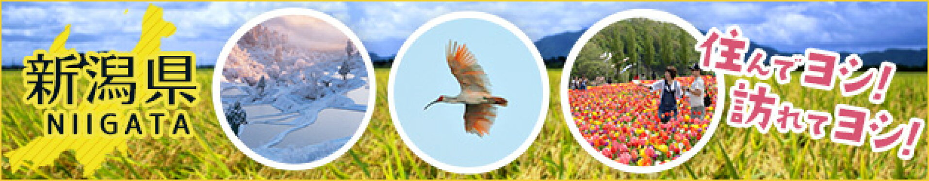 住んでヨシ！訪れてヨシ！新潟県