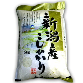 【ふるさと納税】特別栽培コシヒカリ　5kg　【お米・お米・コシヒカリ】