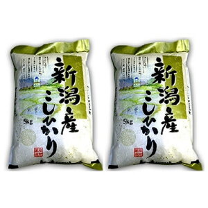 【ふるさと納税】特別栽培コシヒカリ 10kg お米 コシヒカリ  お届け:2026年3月下旬まで