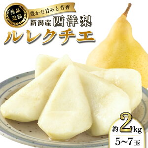 yӂ邳Ɣ[Łzm N`G mȂ  2kg Gi 5`7  N`F m mȂ miV  Ȃ iV t[c ʕ 5 6 7 Yn VsY V @͂F2025N11{`