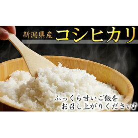 【ふるさと納税】カガヤキ農園 特別栽培米コシヒカリ10kg 米 精米 白米 コシヒカリ こめ コメ お米 おこめ こしひかり 新潟 新潟県特別栽培農産物認証取得 特別栽培米 新潟県