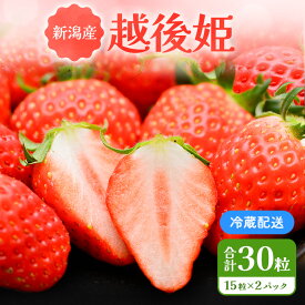 【ふるさと納税】「越後姫」イチゴ 15粒 2パック 果物類 いちご 苺 　お届け：2026年1月中下旬～3月末まで