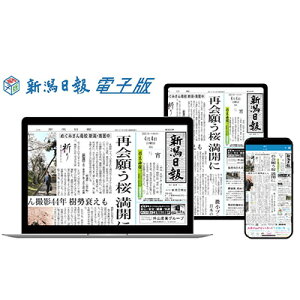 【ふるさと納税】新潟日報電子版 1カ月 雑貨 日用品