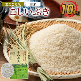 【ふるさと納税】まごころ米こしいぶき10kg（白米）　【お米・新潟県産】