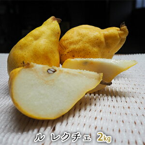yӂ邳Ɣ[ŁzN`F 2kg N`F EN`F m Zbg miV  Ȃ iV t[c ʕ fU[g  Ε Mtg  v[g Y V @͂F2025N11{