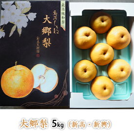 【ふるさと納税】大郷梨 5kg（新高・新興） 梨 新高梨 新興梨 詰め合わせ セット 和梨 なし ナシ 新高 新興 フルーツ 果物 デザート おやつ ギフト 贈答 プレゼント 国産 新潟 　お届け：2025年10月上旬～12月下旬