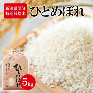 【ふるさと納税】令和7年度産 新潟県認証特別栽培米 ひとめぼれ 5kg お米 白米 ライス 精米 ご飯 新潟県産 新潟市産 おにぎり お弁当 粘り 甘み 旨み 香り バランス 和食 ブランド米  お届け
