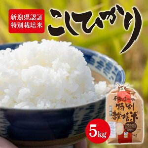 yӂ邳Ɣ[Łzߘa7NxY VFؓʍ͔| RVqJ 5kg   CX   VY VsY ɂ ٓ aH uh Ẳl  S  Â |
