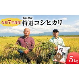 【ふるさと納税】新潟県産 コシヒカリ 5kg 米 精米 白米 こめ コメ お米 おこめ こしひかり 新潟 新潟県 　お届け：2026/1月以降順次発送