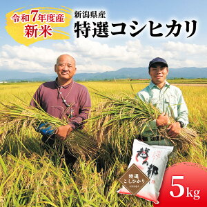 【ふるさと納税】新潟県産 コシヒカリ 5kg 米 精米 白米 こめ コメ お米 おこめ こしひかり 新潟 新潟県  お届け:2025/11月以降