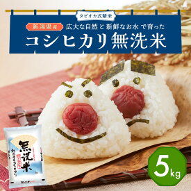 【ふるさと納税】無洗米新潟産コシヒカリセット 5kg 産地直送　お届け：寄附確認後、順次発送