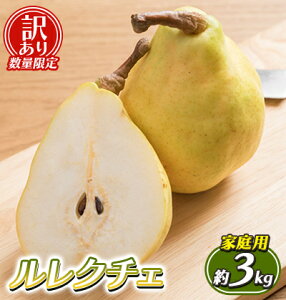 yӂ邳Ɣ[Łzy󂠂 ʌzN`F ƒp 3kg 󂠂  N`F N`F m miV  t[c ʕ  s KiO 킯 A fU[g  Y V 