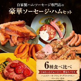 【ふるさと納税】メインディッシュグリルセット お肉 豚肉 ハム ソーセージ ジューシー ドイツのスパイス 詰め合わせ 惣菜 サラダ おつまみ