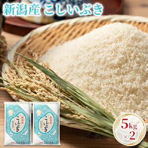 yӂ邳Ɣ[ŁzVYԂ 5kg×2     uh  ɂ ٓ Yn @͂FmFA