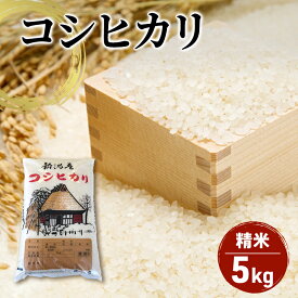 【ふるさと納税】【令和7年産】新潟産 コシヒカリ精米5kg「従来品種」 お米 ご飯 食卓 主食 おにぎり お弁当 国産 日本産 ブランド米 　お届け：2025年10月下旬～2026年2月末まで