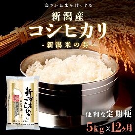 【ふるさと納税】【定期便】新潟産コシヒカリ5kg×12回 米 定期便 12ヶ月 コシヒカリ 5kg 精米 白米 こめ コメ お米 おこめ こしひかり 新潟 新潟県 12回 1年　【定期便・ 新潟市 】