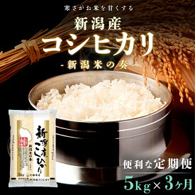 【ふるさと納税】【定期便】新潟産コシヒカリ5kg×3回 米 定期便 3ヶ月 コシヒカリ 5kg 精米 白米 こめ コメ お米 おこめ こしひかり 新潟 新潟県 3回　【定期便・ 新潟市 】