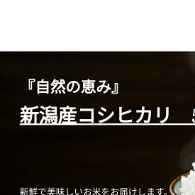【ふるさと納税】新潟産コシヒカリ 5kg お米