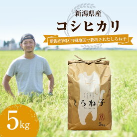 【ふるさと納税】こしひかり 精米 5kg 新潟産 コシヒカリ 米 お米 こめ コメ 白米 産地直送 新潟県産 新潟県 新潟
