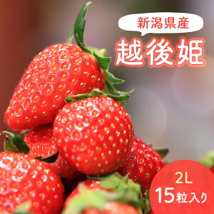 yӂ邳Ɣ[Łzy\󒍁z2025N2{蔭@VYzP2L@15 @͂F2026N2{`4{