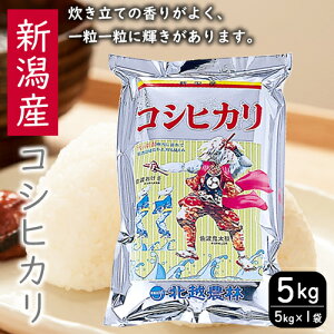 yӂ邳Ɣ[ŁzЂ VYRVqJ 5kg    R ͂ V   RVqJ uh   Yn @͂FmFA2Tԁ`1ł