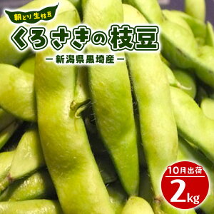 yӂ邳Ɣ[Łzs\ ǂ } 낳̎} 2kg 2025N10 VY  } ܂  V@͂F2025N9{`10{