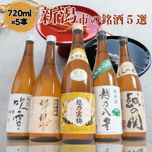 yӂ邳Ɣ[Łz{ ݔ׃Zbg z Vs̖ ݔ 720ml×5{ izT~ zTL z̊ T zHjN725A V Zbg h Mtg  Nz