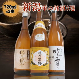 【ふるさと納税】日本酒 飲み比べセット 越後銘門酒会 新潟市の銘酒 飲み比べ 720ml×3本 （越乃寒梅 越乃風雪 越路吹雪）N723A 新潟 セット 辛口 ギフト 正月 年越し
