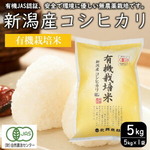 yӂ邳Ɣ[ŁzL@͔| VYRVqJ5kg    Ђ V@͂FmFA2Tԁ`1ł͂