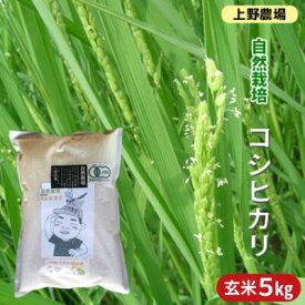 【ふるさと納税】上野農場 自然栽培コシヒカリ 玄米5kg お米 こしひかり 米 玄米 新潟市
