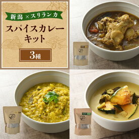 【ふるさと納税】スパイスカレー 新潟×スリランカ　スパイスカレーキット3種 新潟市