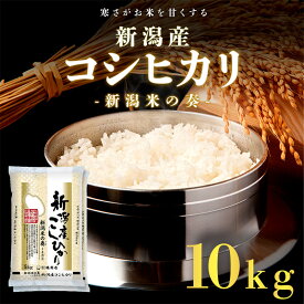 【ふるさと納税】【令和7年新米予約】新潟産コシヒカリ 10kg 米 精米 白米 こめ コメ お米 おこめ コシヒカリ こしひかり 新潟 新潟県 米どころ　お届け：2025年10月上旬～2026年9月下旬