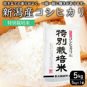 yӂ邳Ɣ[Łzʍ͔|ĐVYRVqJ5kg    R ͂ V  RVqJ uh   Yn@͂FmFA2Tԁ`1ł͂