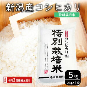 yӂ邳Ɣ[Łzʍ͔|ĐVYRVqJ5kg@3Ał͂܂B    R ͂ V  RVqJ uh   Yn@͂F\